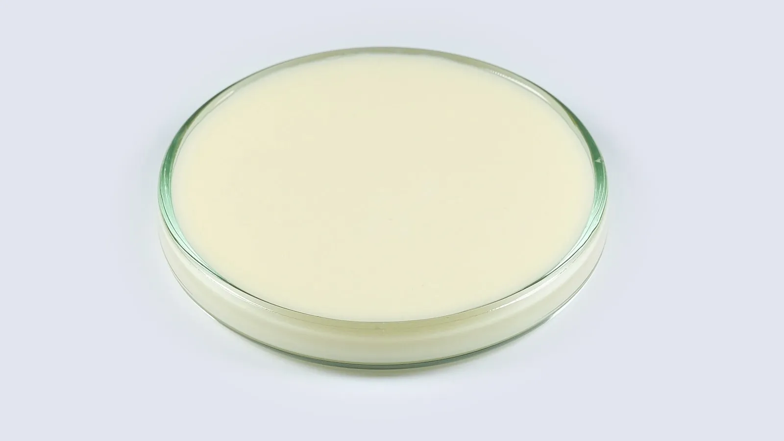 Экстракт картамуса