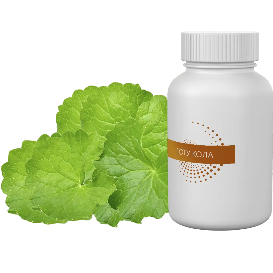 Экстракт Готу Кола
