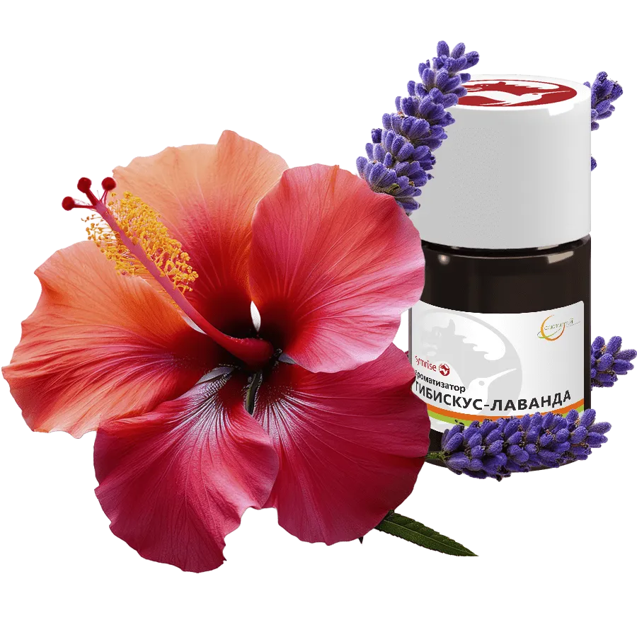 Гибискус-Лаванда