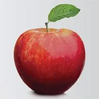 ПРОДЭКСПО-2016