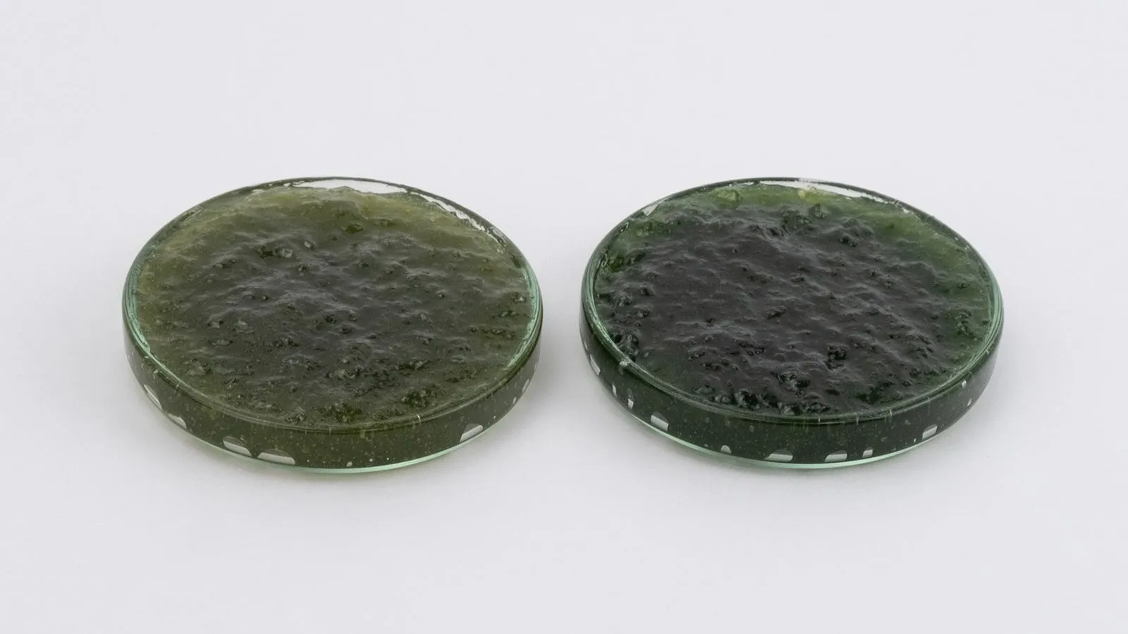 Хлорофиллин-куркумин