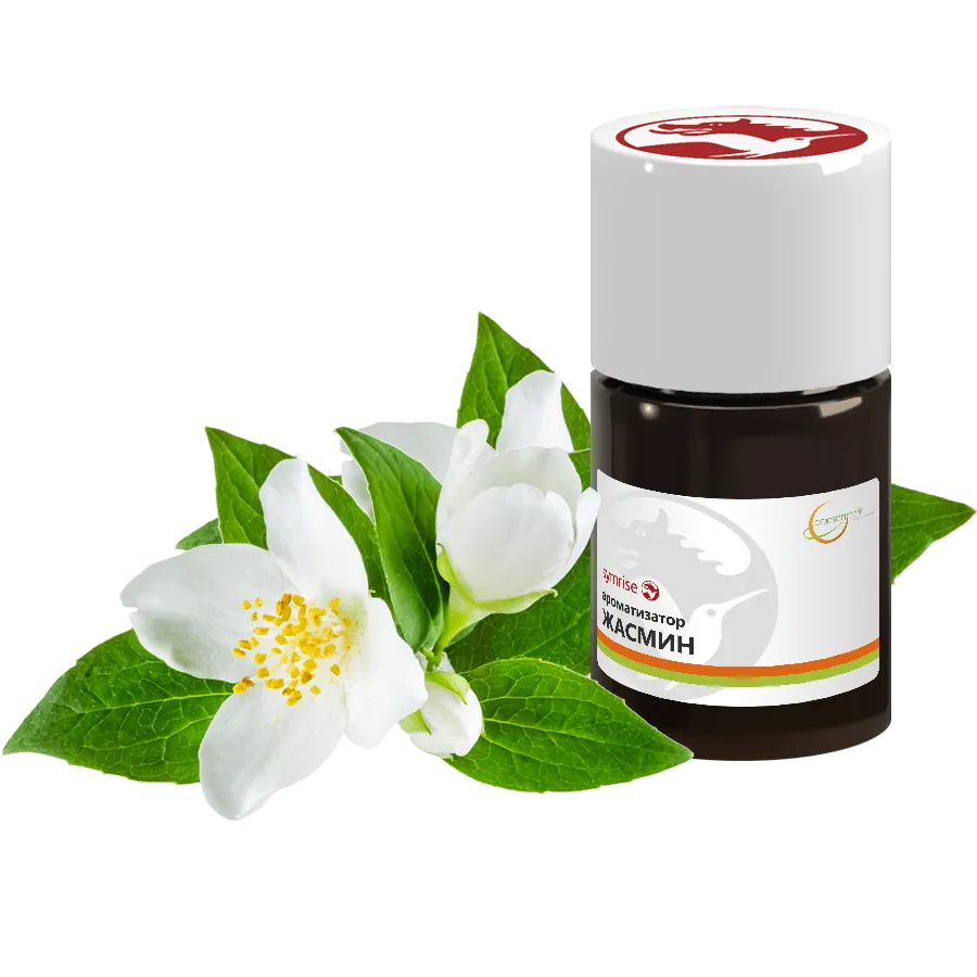 Жасмин