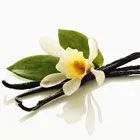 АРОМАТЫ ВАНИЛИ