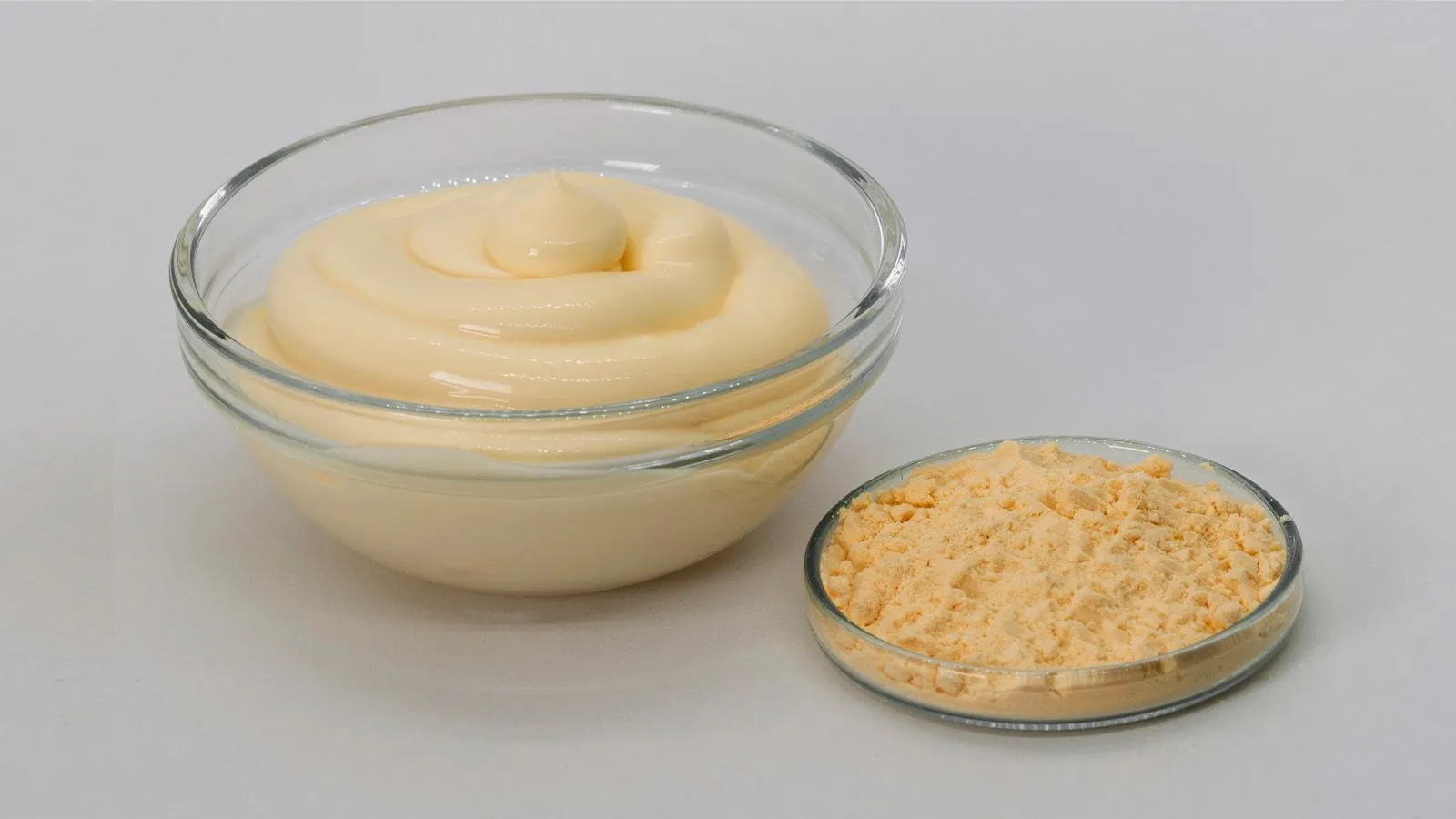 Готовая сухая смесь для производства майонеза Tecnovo