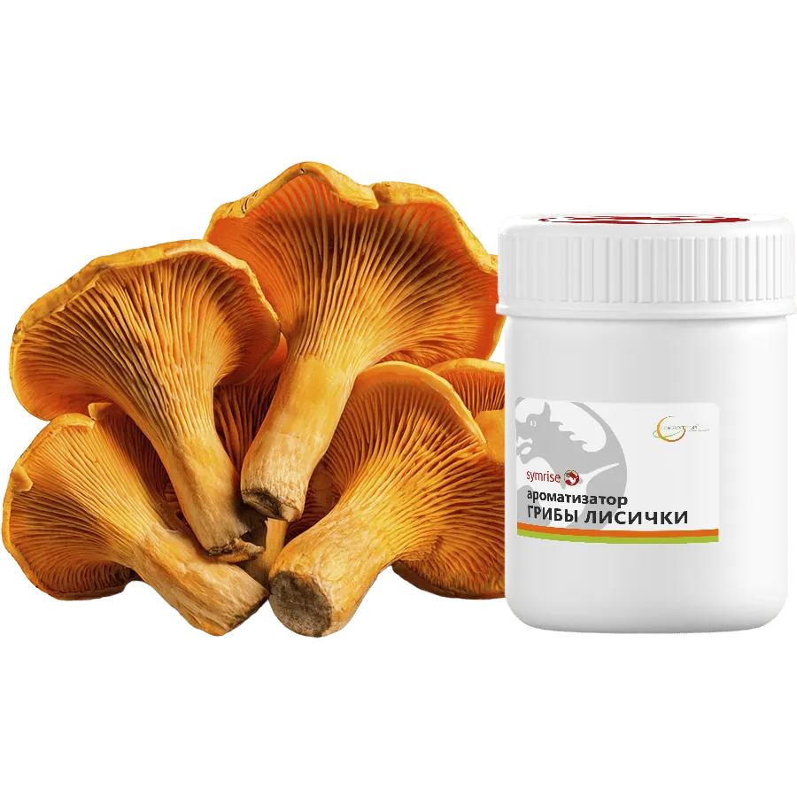 Грибы Лисички