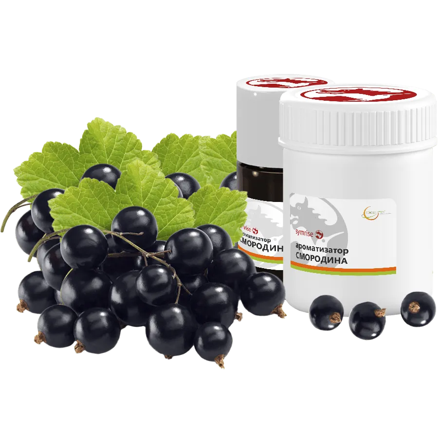 Смородина черная