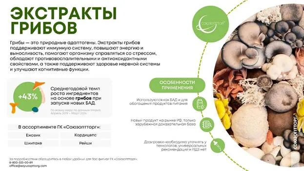 Экстракты грибов