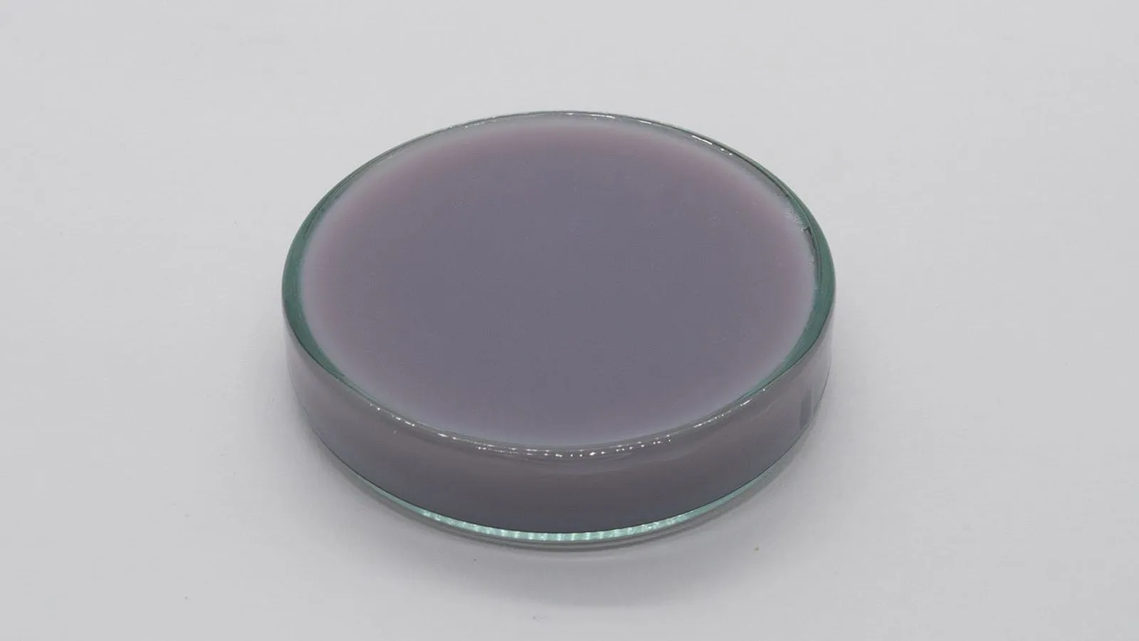 Антоцианин