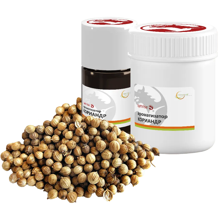 Кориандр