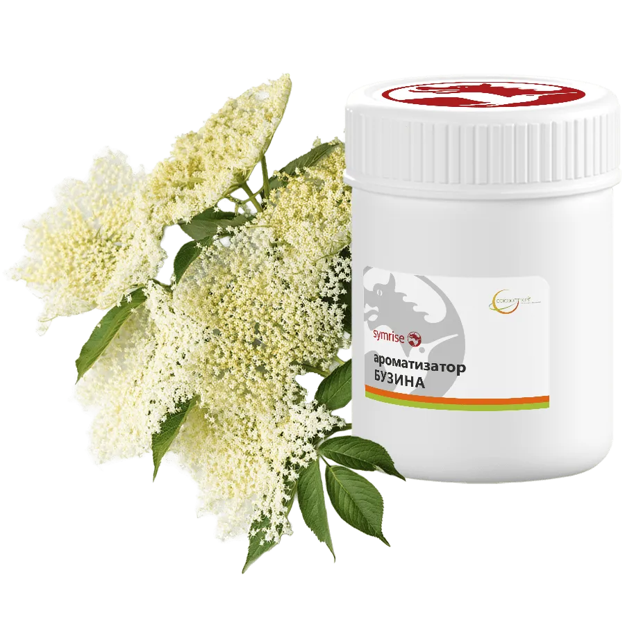 Бузина цветы