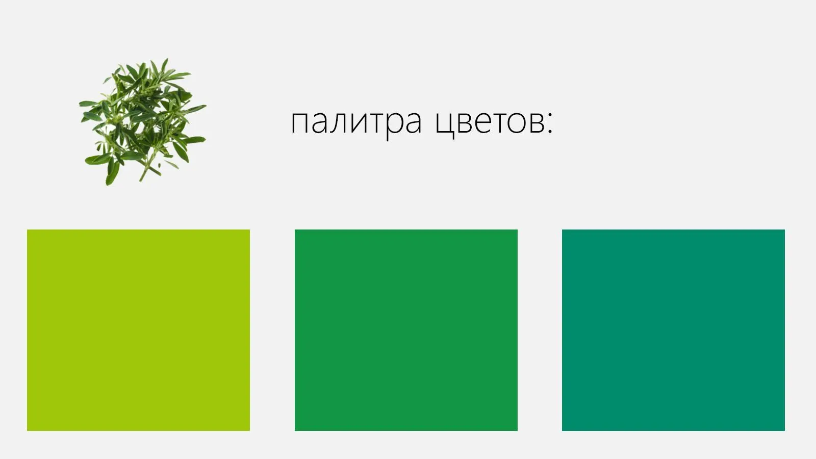 Хлорофиллин