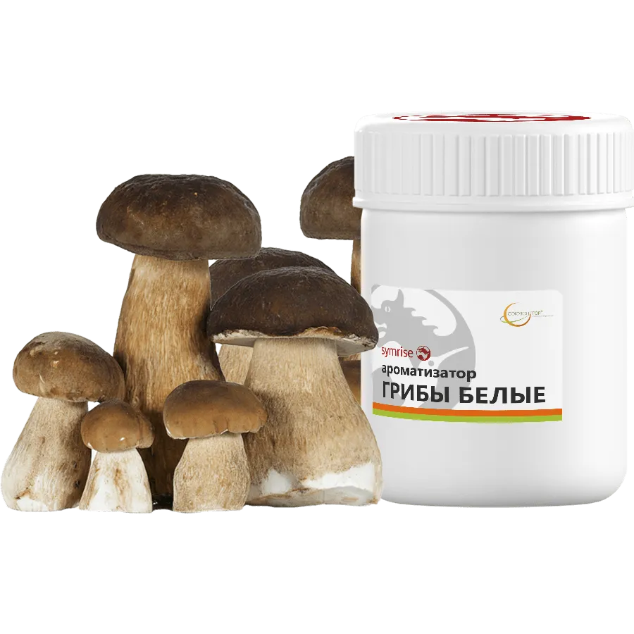 Грибы Белые