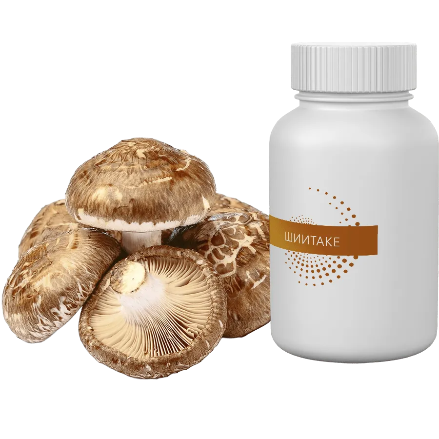Экстракт Шиитаке