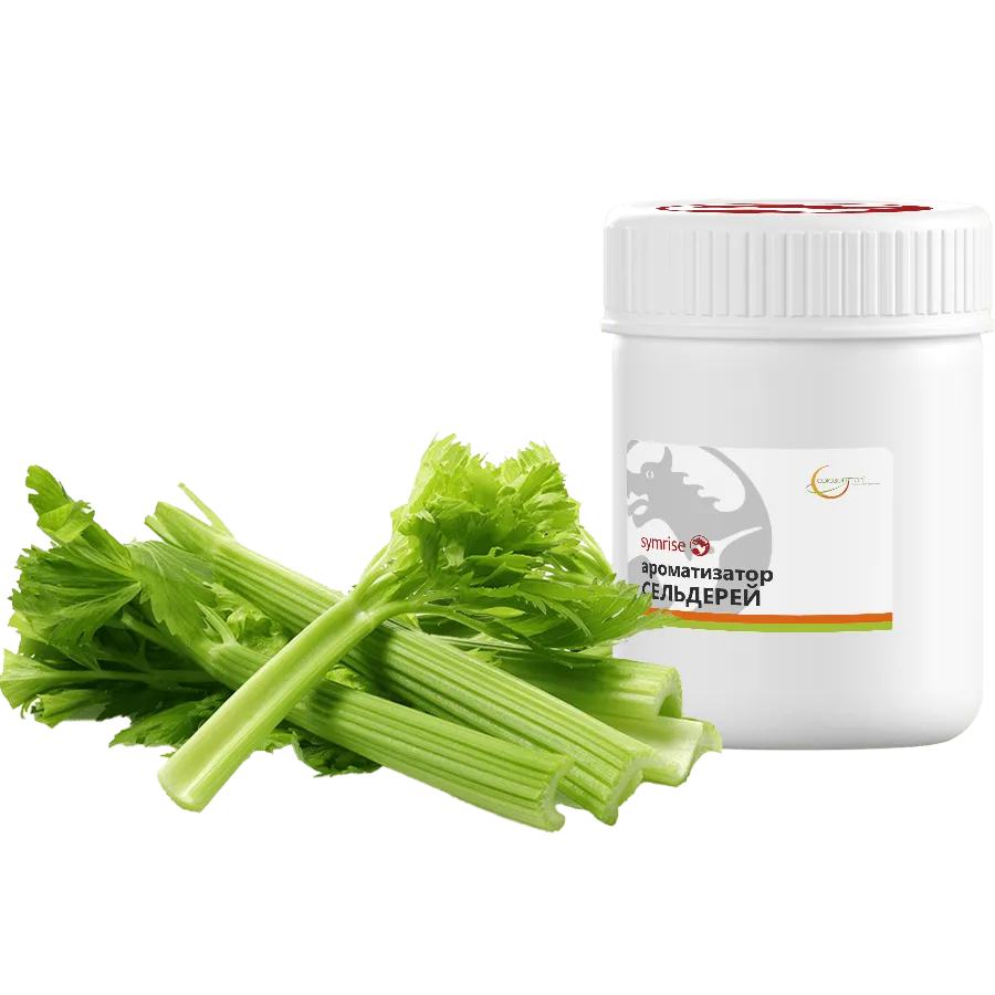 Сельдерей