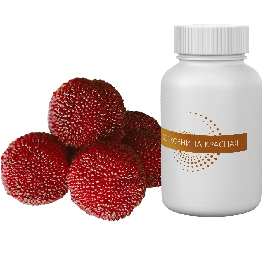 Экстракт Коры восковницы красной