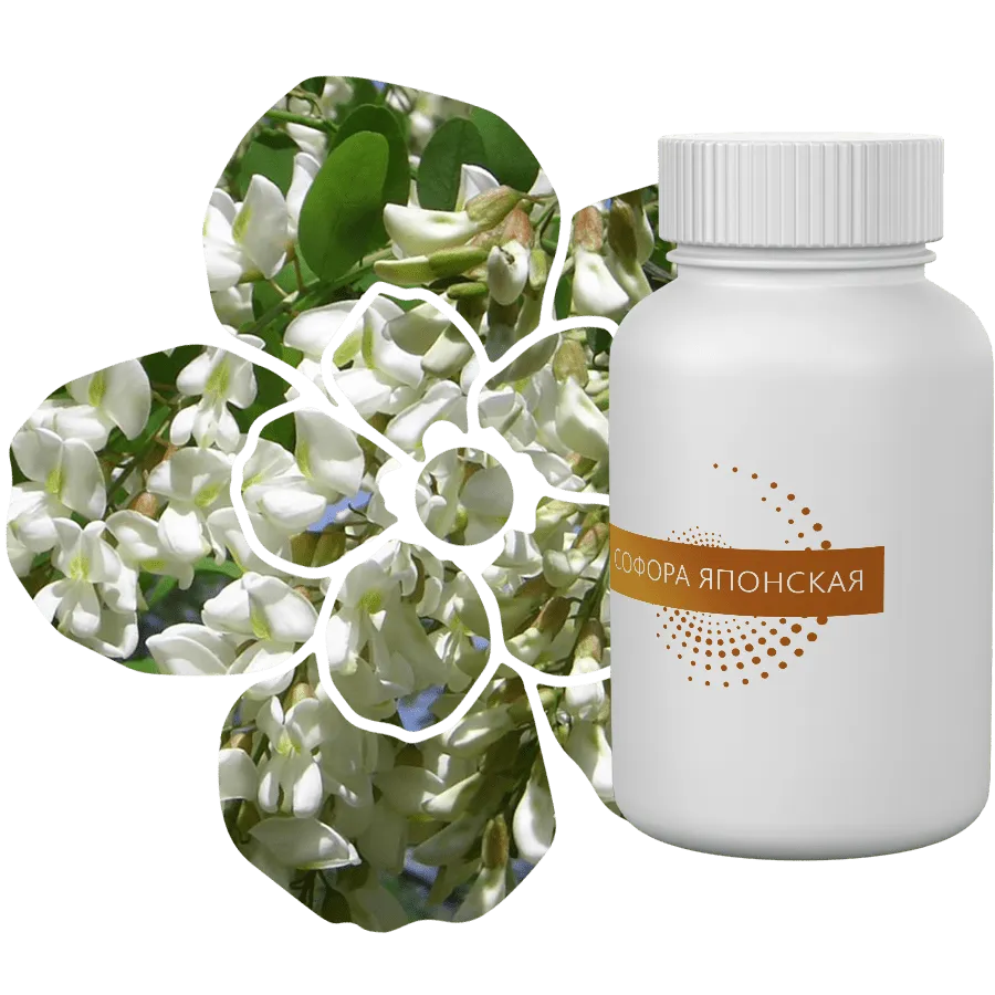 Экстракт Софоры Японской