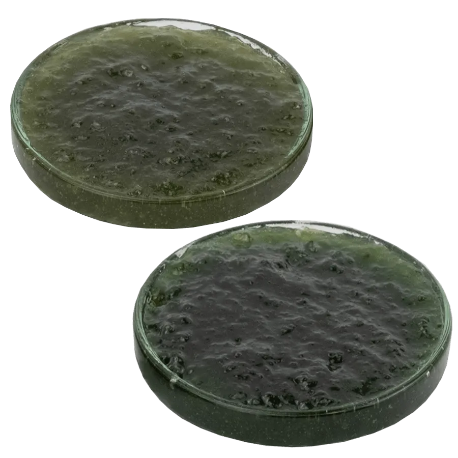 Хлорофиллин-куркумин