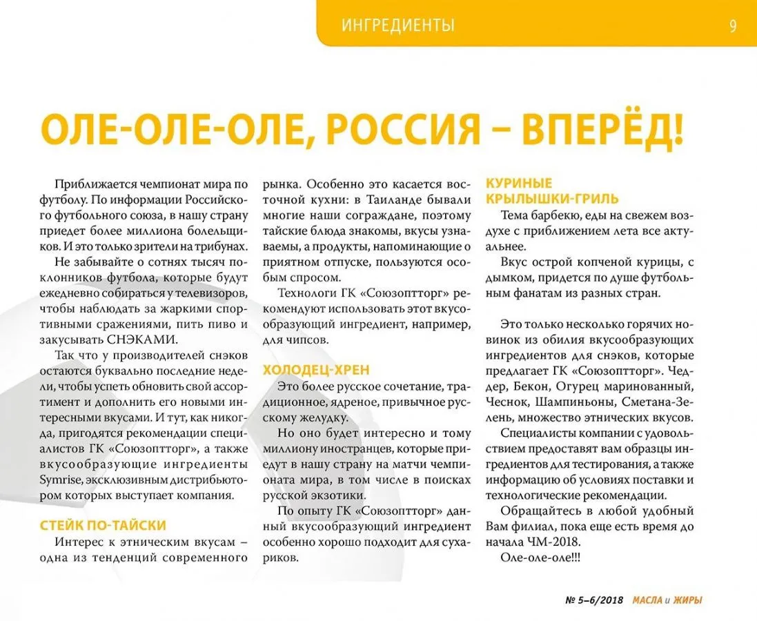 Оле-оле-оле! Россия, вперёд!