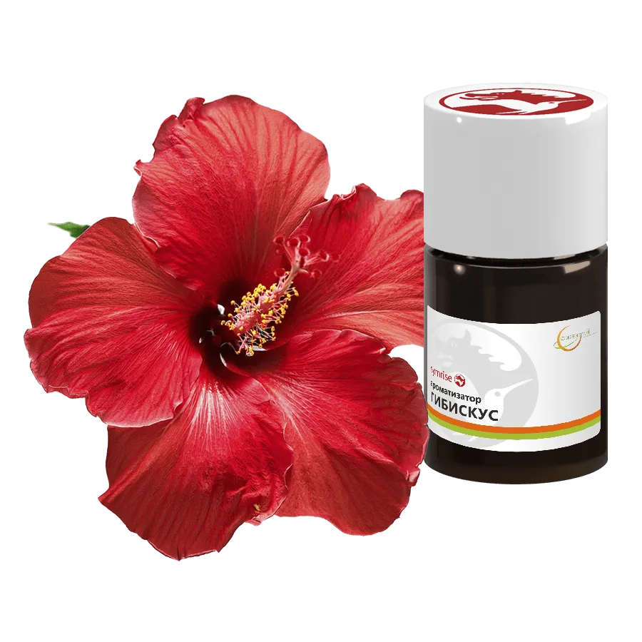Гибискус