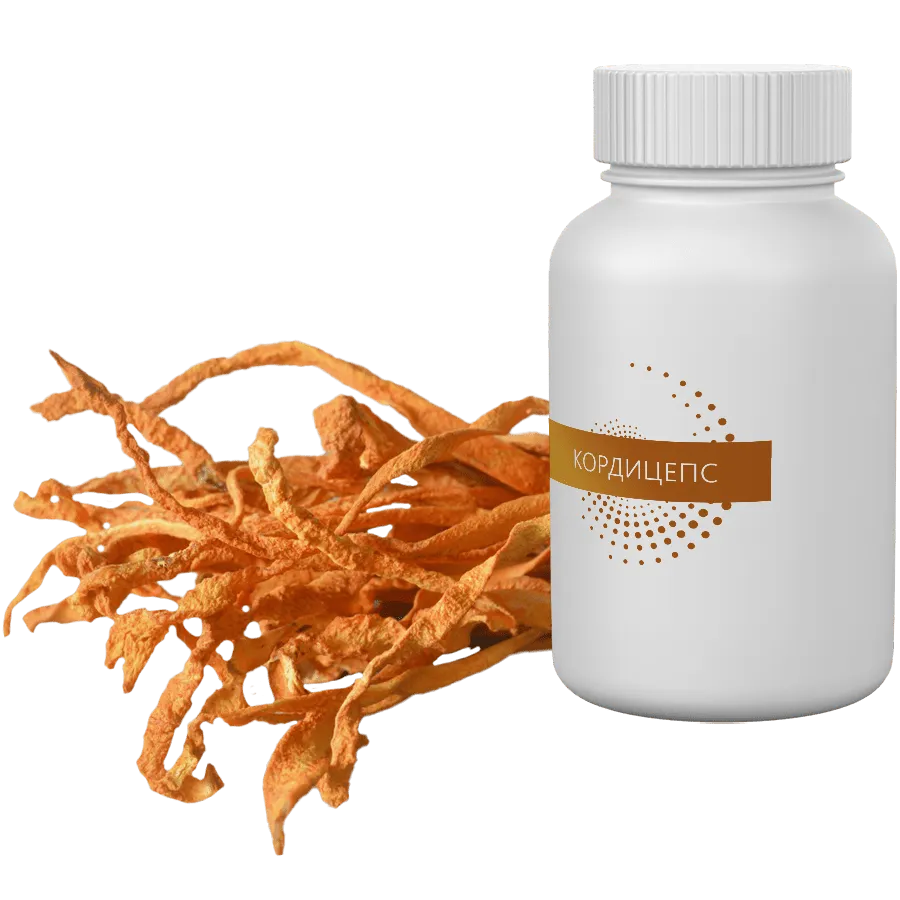 Экстракт Кордицепса