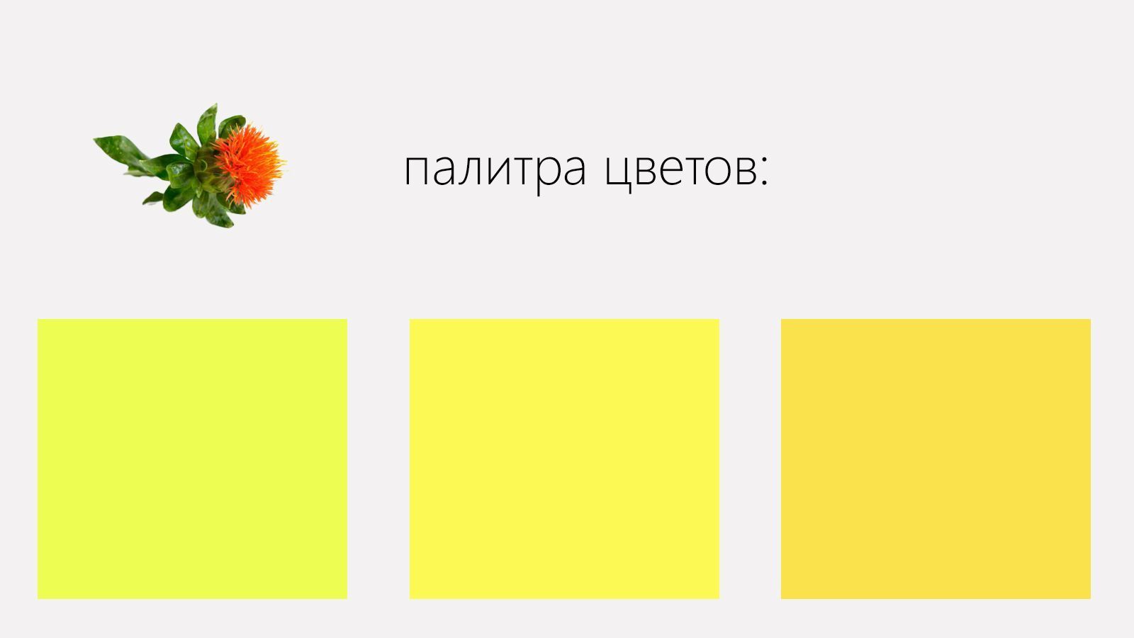 Экстракт картамуса