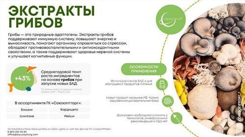 Экстракты грибов