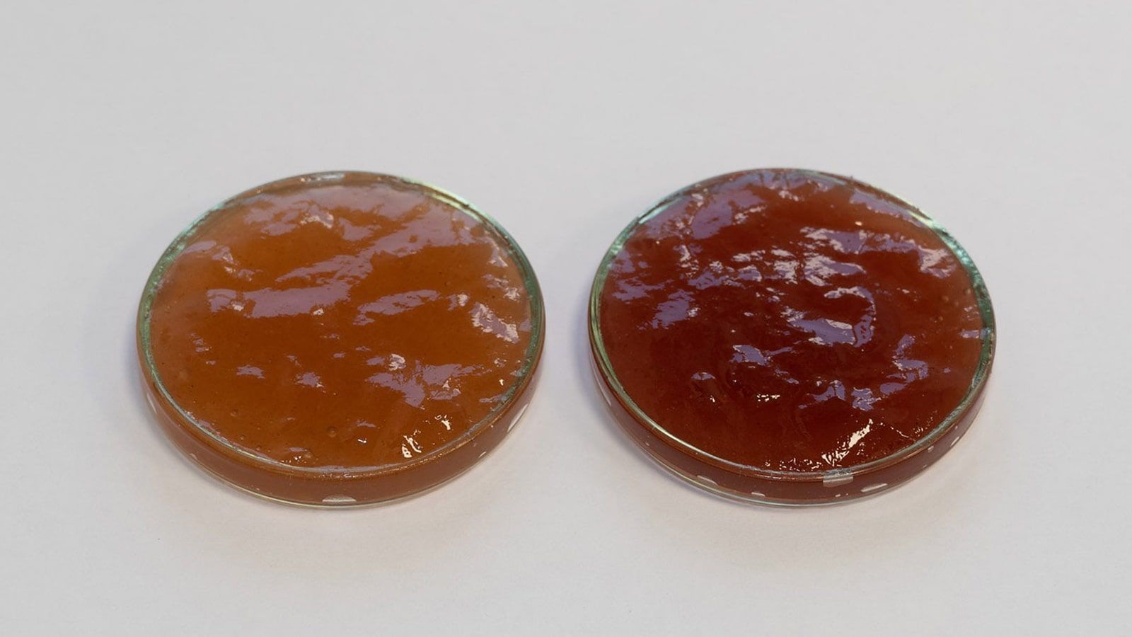 Антоцианин